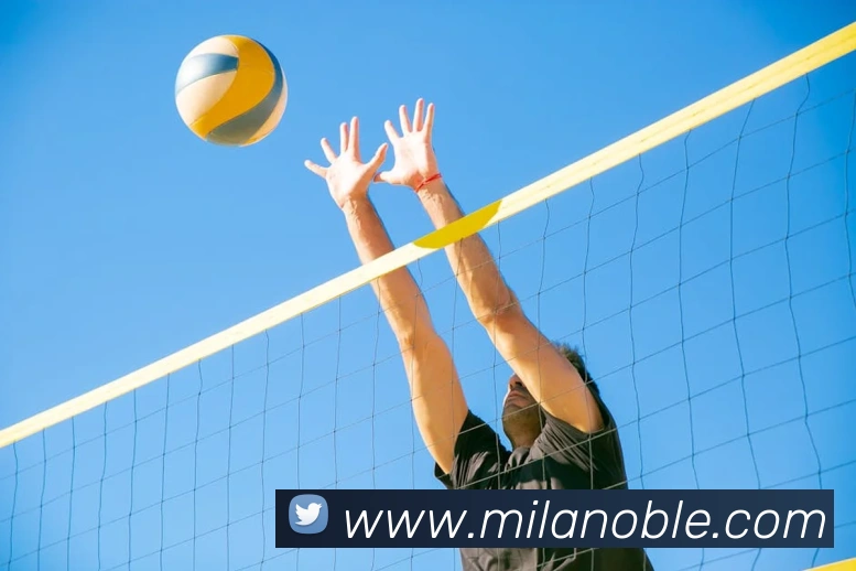 米兰milan官网平台生态图